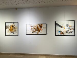 Sylvia Kneidinger Ausstellung Acrylbilder Stadtamt Traun 2024